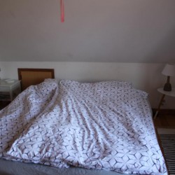 Borup Bed and Breakfast